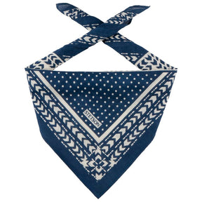 Stetson Bandana Abstract Genometric