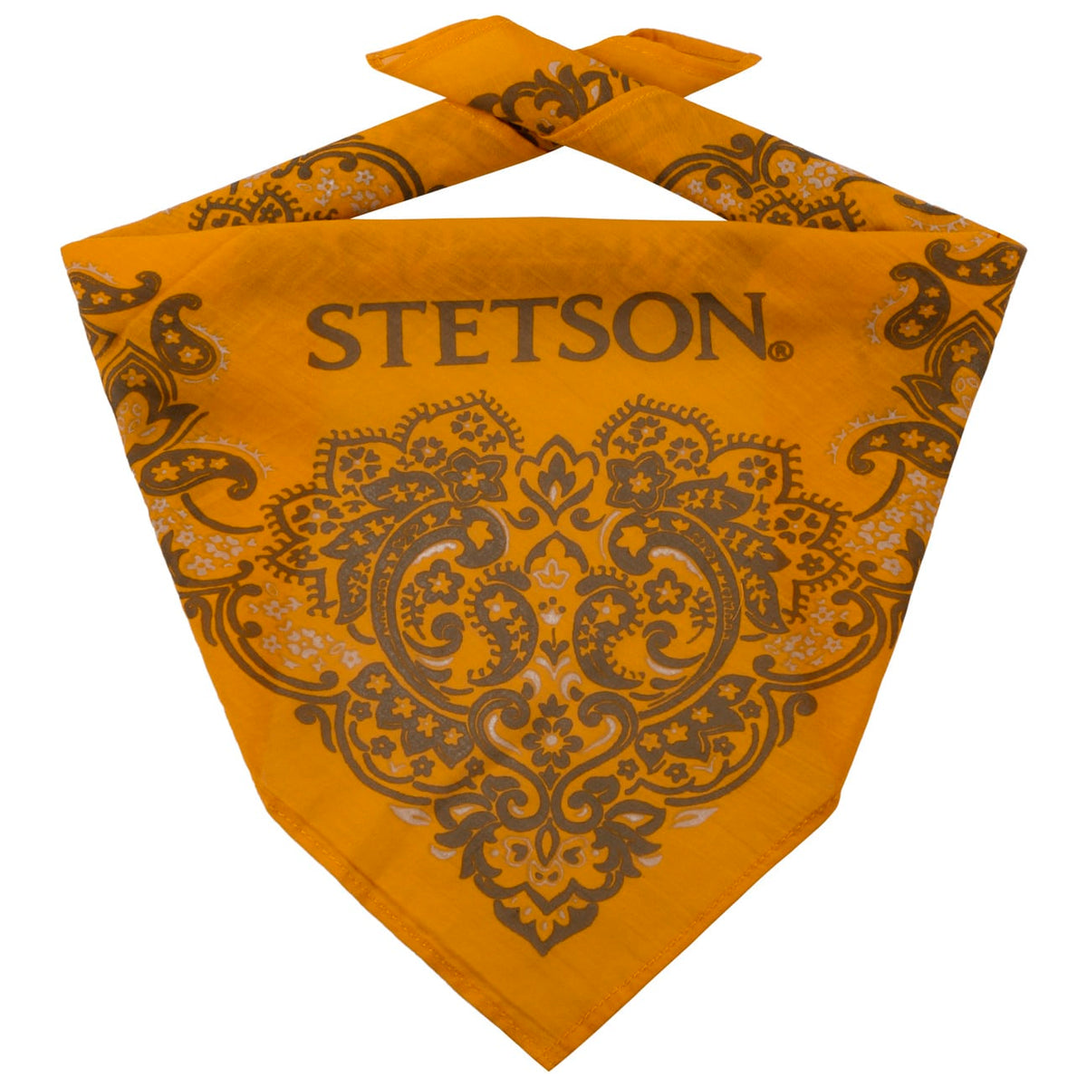 Stetson Bandana Cotton Rust