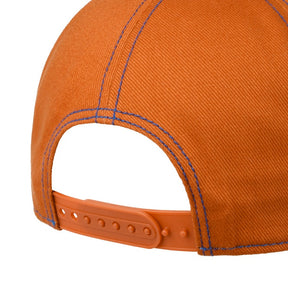 Stetson Trucker Cap Ski