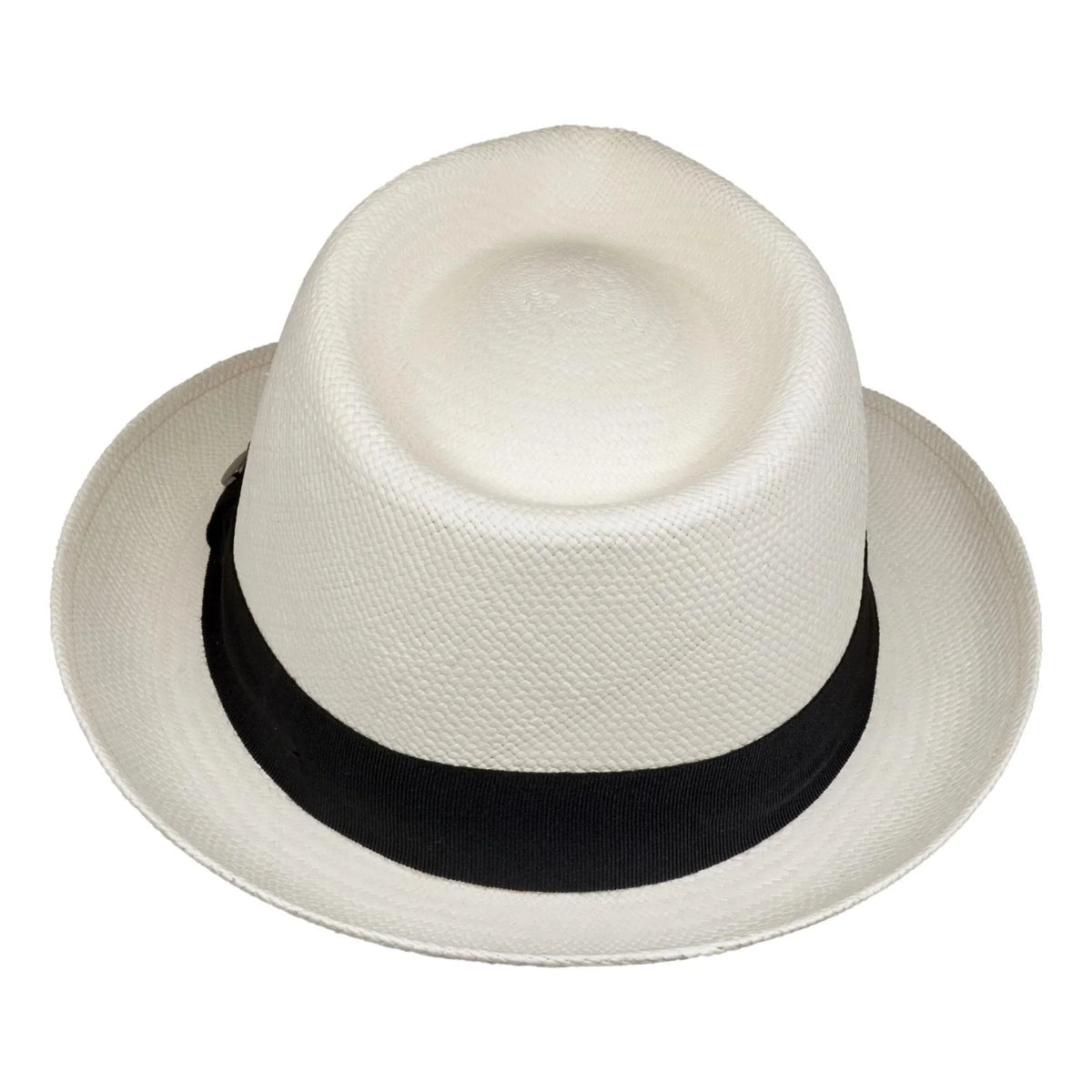 Vintimilla Panama New Trilby White Black