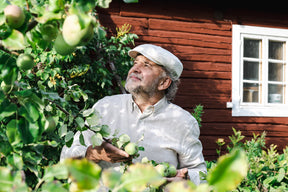 CTH Ericson x Hatthyllan Alan Linen Natural